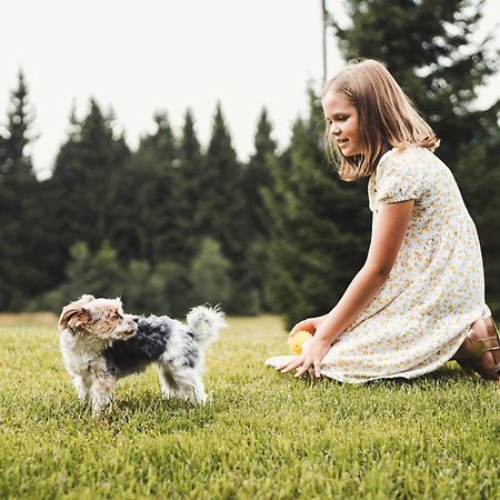Apartments Schoeneben Улрихсберг Екстериор снимка